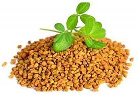 Fenugreek Seed 50 G (Vendayam)