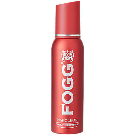 Fogg Napoleon
