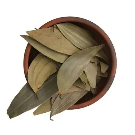 Leaves 10 